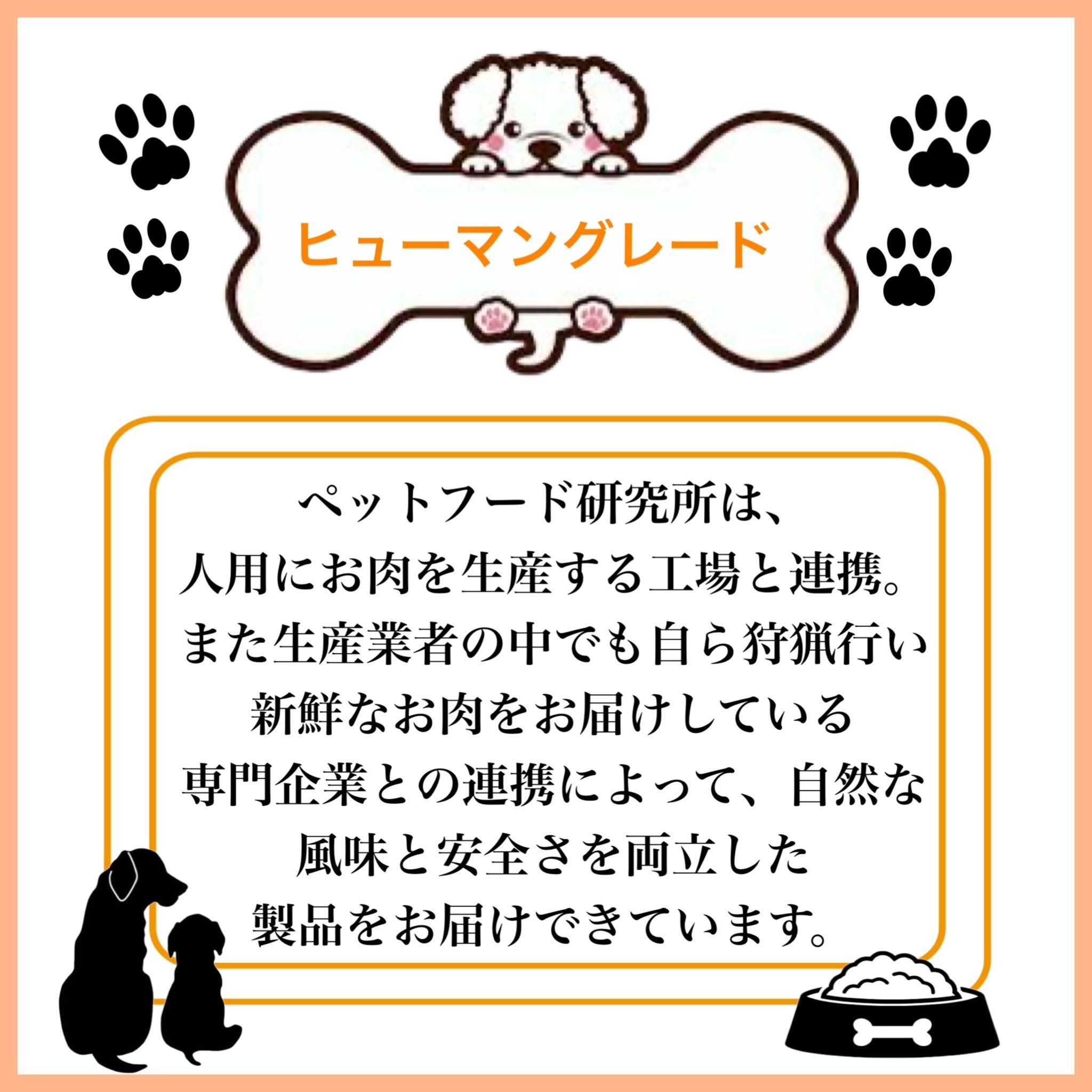 ペットフード研究所 国産無添加 猪ジャーキー500g【087D-063】