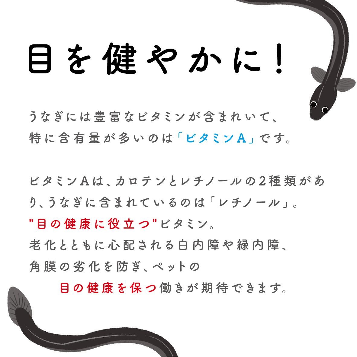 ãããããŒãç ç©¶æ é°»é 100gã087E-003ã