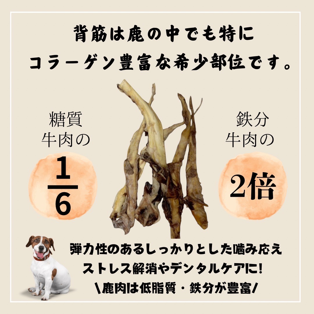 ペットフード研究所 国産無添加 鹿スジジャーキー100g【087D-064】