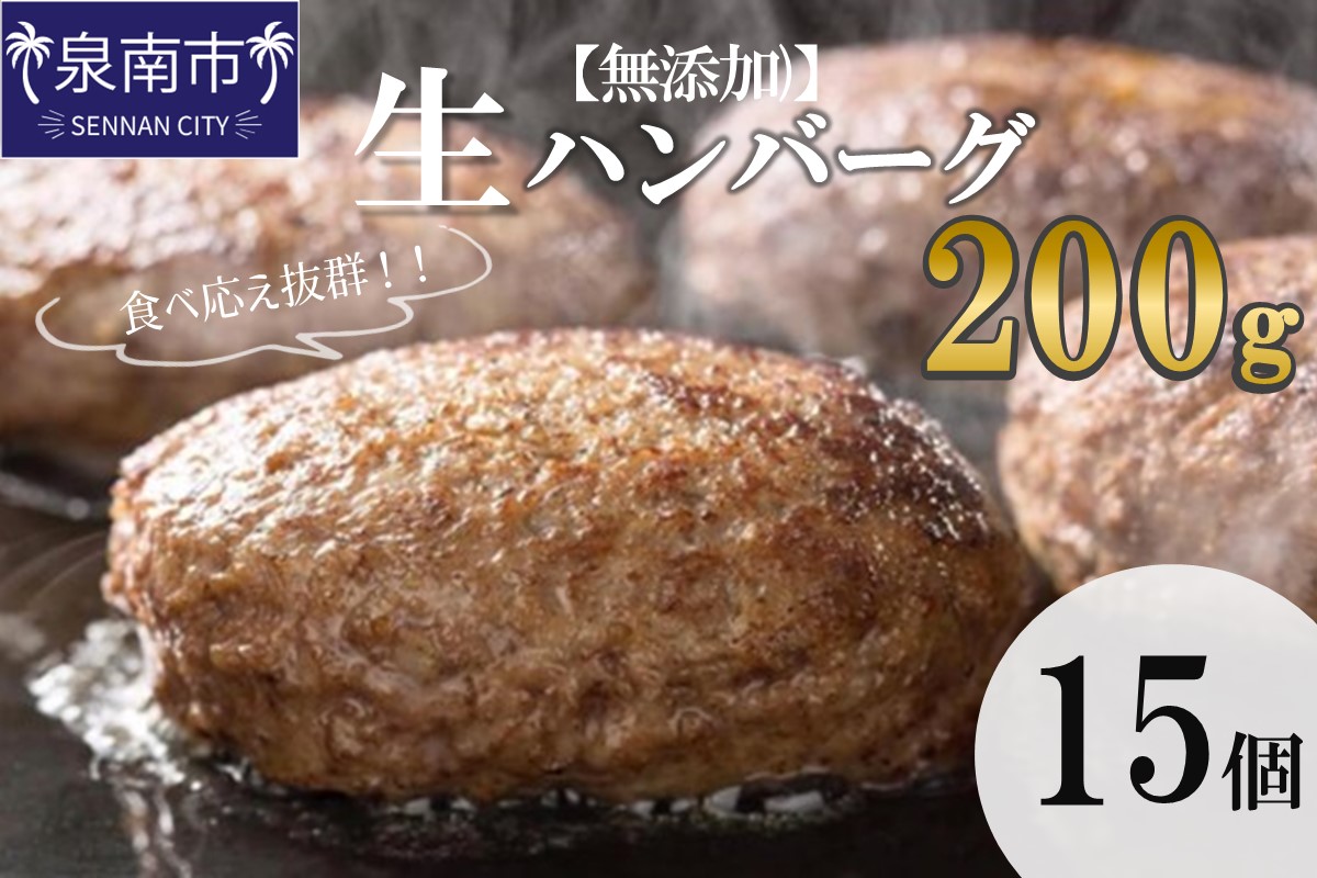 【無添加】食べ応え抜群！ 生ハンバーグ 200g 15個【087C-011】