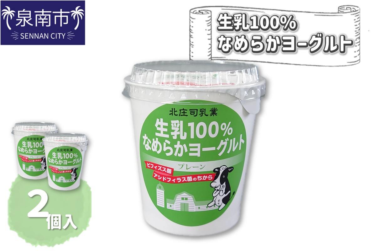 生乳100％なめらかヨーグルト 2個入り【配送不可地域：北海道・沖縄・離島】【113E-001】