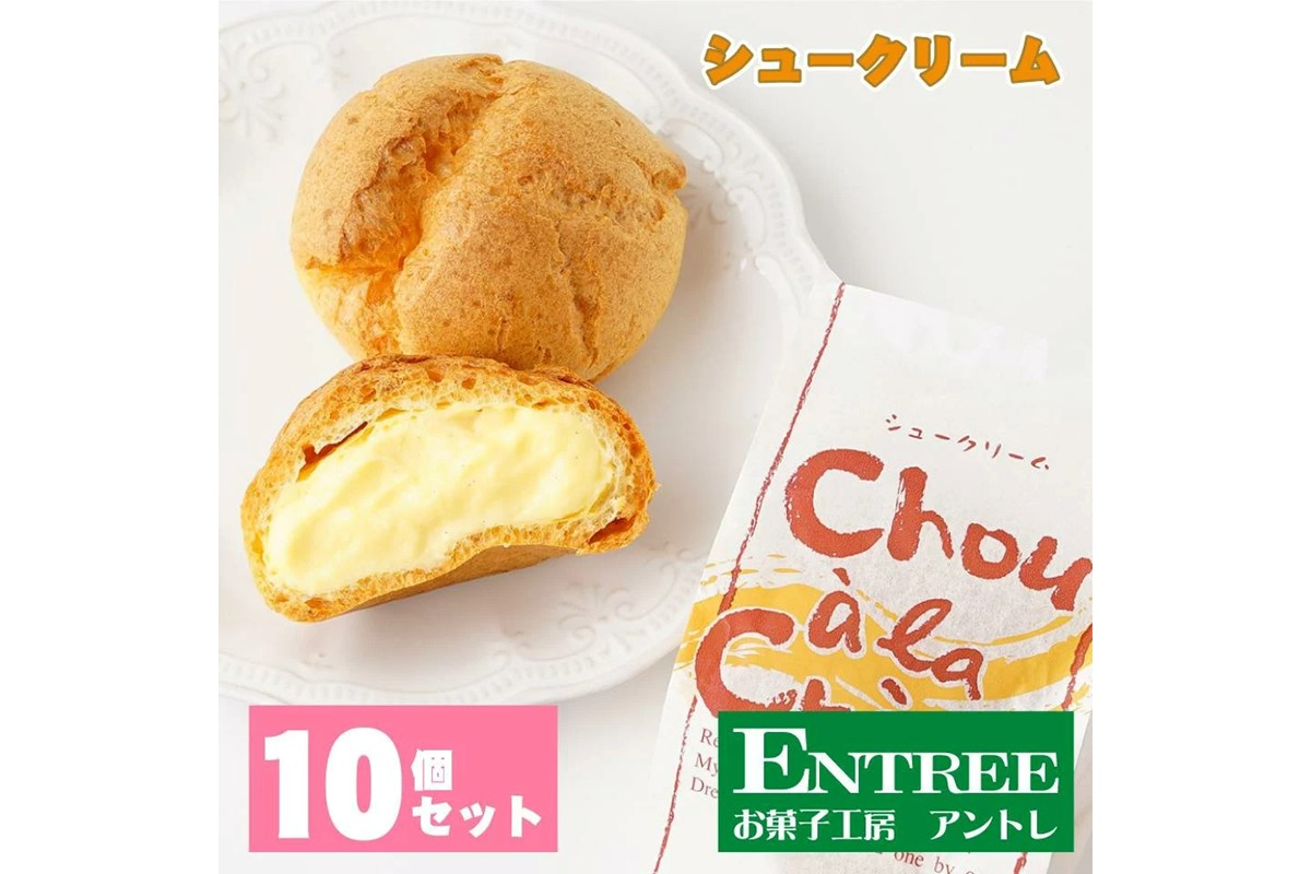 シュークリーム10個セット【074D-031】