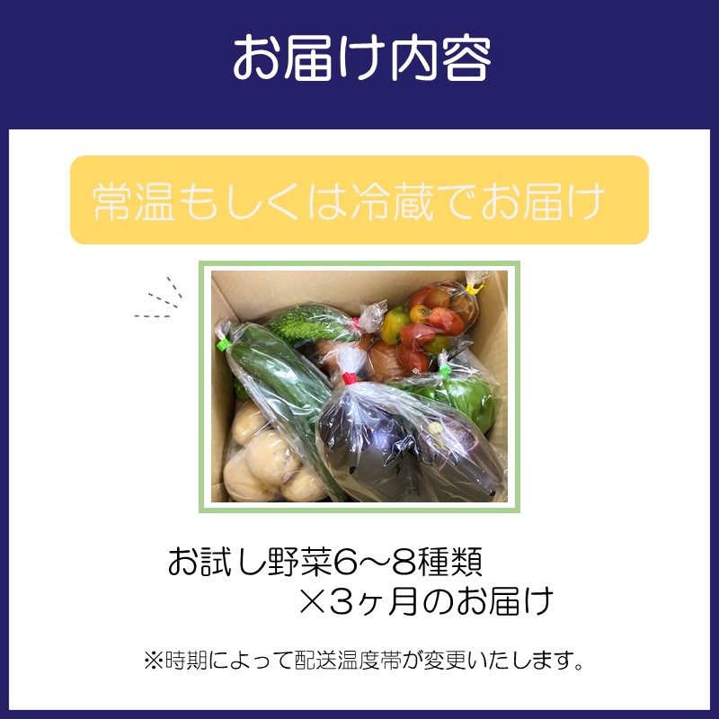 サザンぴあ お試し野菜6〜8品 3ヶ月定期便【015B-002】