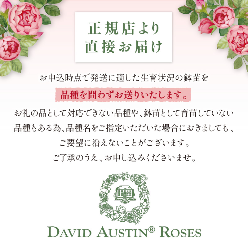 ãã€ã³ã°ãªãã·ã¥ããŒãºã ããããã»ãªãŒã¹ãã³ ãã©é¢è ïŒãã©å°çšè¥æä»ïŒãåçš®æå®äžå¯ã ãã© ã°ã ã€ã³ã°ãªãã·ã¥ããŒãº ãã©é¢è é¢è è±ã025D-003ã