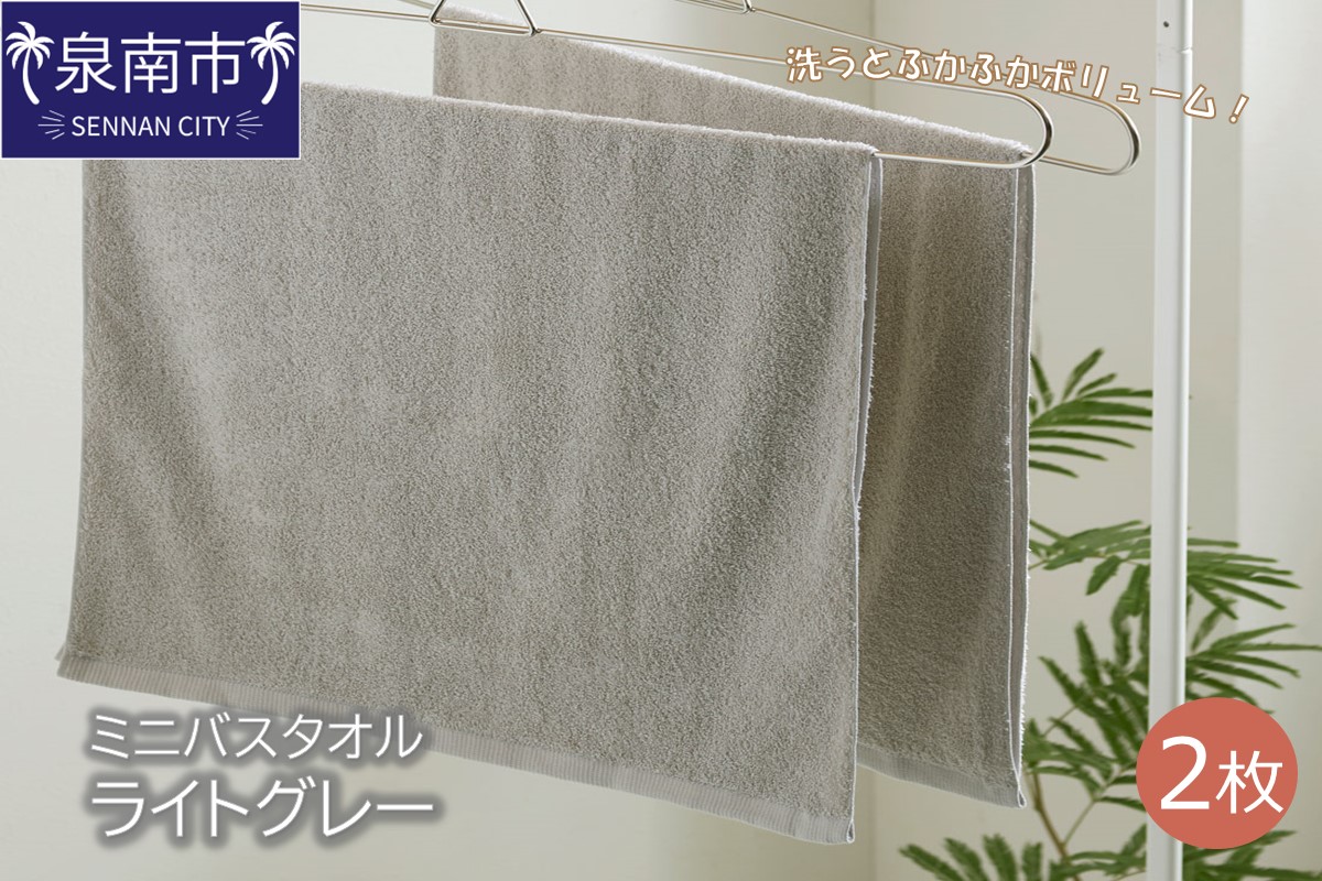 ハンガーで干せるミニバスタオル ライトグレー2枚 タオル バスタオル ミニバスタオル 泉州バスタオル バスタオルセット 【配送不可地域：北海道・沖縄・離島】【039E-050】