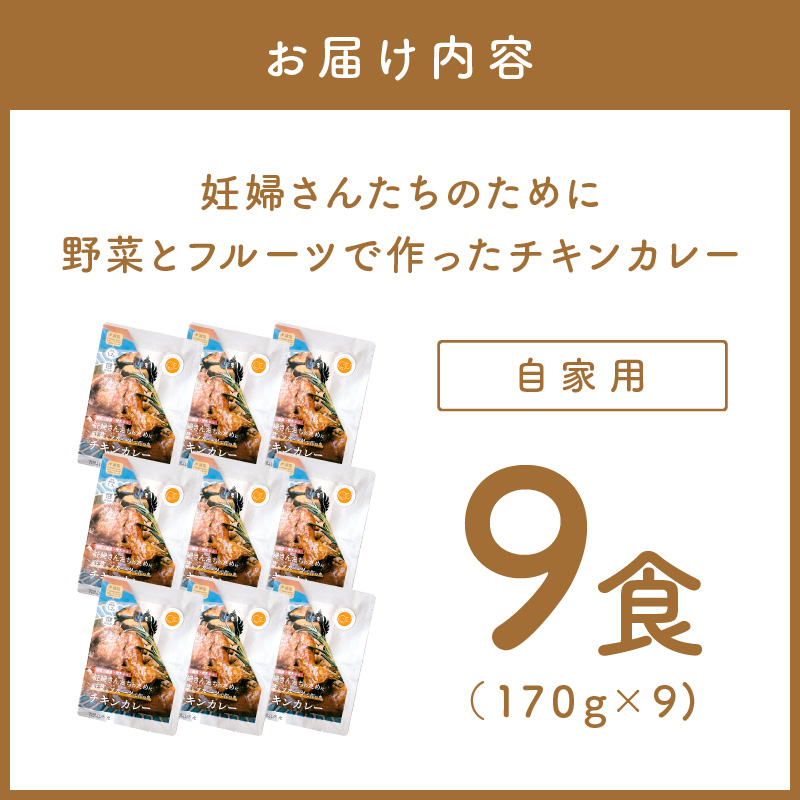 【自家用 化粧箱なし】妊婦さんたちのために野菜とフルーツで作ったチキンカレー 9食セット【092D-030】