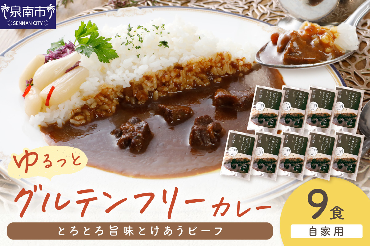 【自家用 化粧箱なし】ゆるっとグルテンフリー とろとろ旨味とけあうビーフカレー（中辛）9食セット【092D-013】