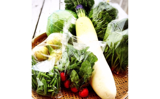 直売所の泉南産旬野菜セット詰め合わせ 100サイズ箱【015E-009】