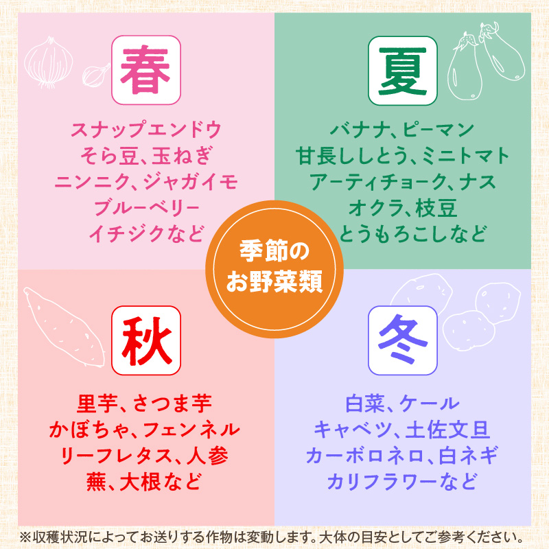 農業姉妹がこだわって栽培！旬の野菜詰め合わせ8種類【024D-008】