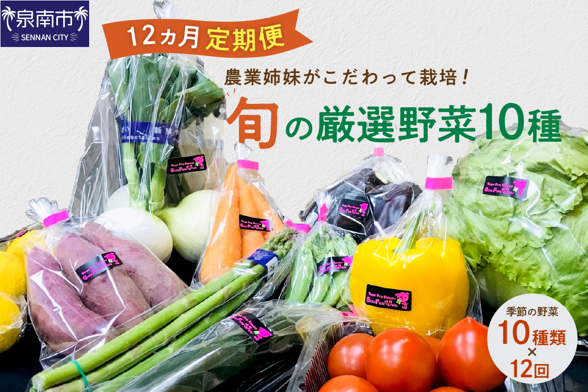 農業姉妹がこだわって栽培！旬の厳選野菜10種 1年定期便【024A-021】