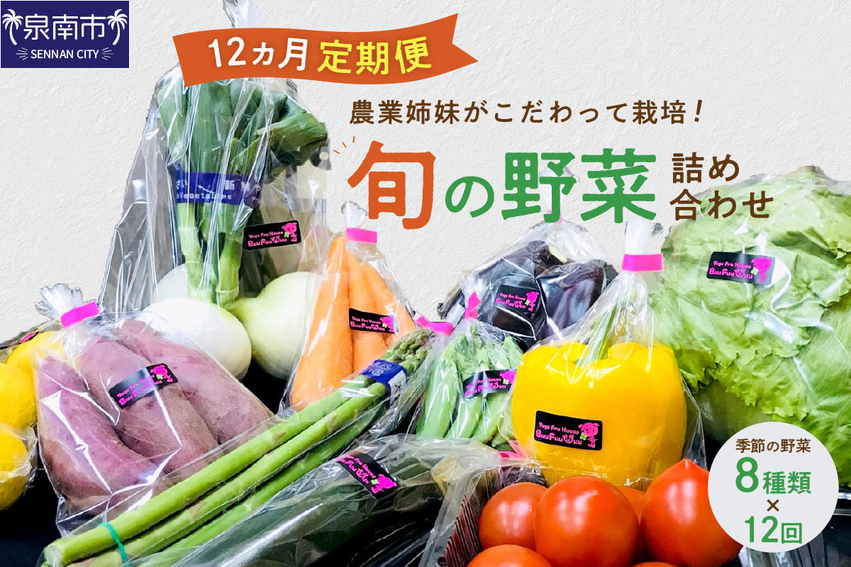 農業姉妹がこだわって栽培！旬の野菜詰め合わせ8種 1年定期便【024A-019】