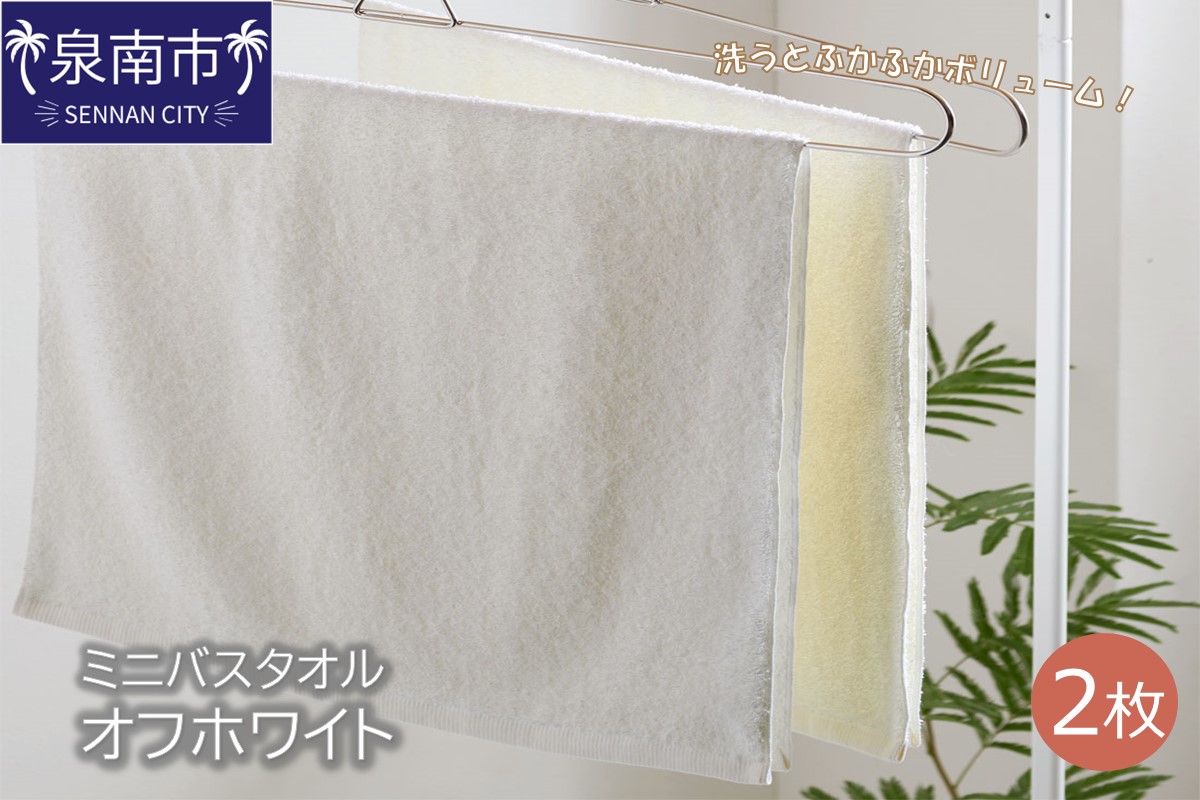 ハンガーで干せるミニバスタオル オフホワイト2枚 【配送不可地域：北海道・沖縄・離島】【039E-045】