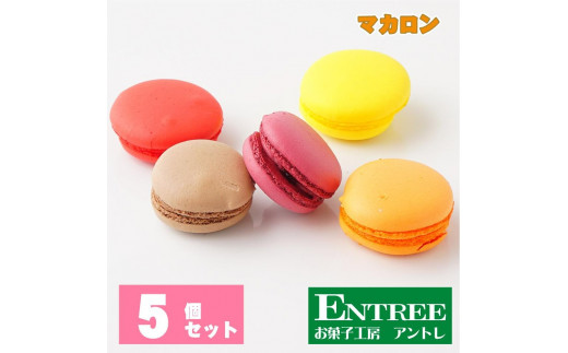 マカロン5個セット【074D-028】