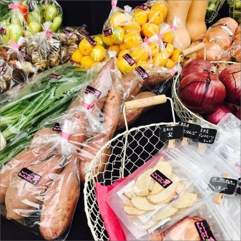 農業姉妹がこだわって栽培！旬の野菜詰め合わせ8種類【024D-008】