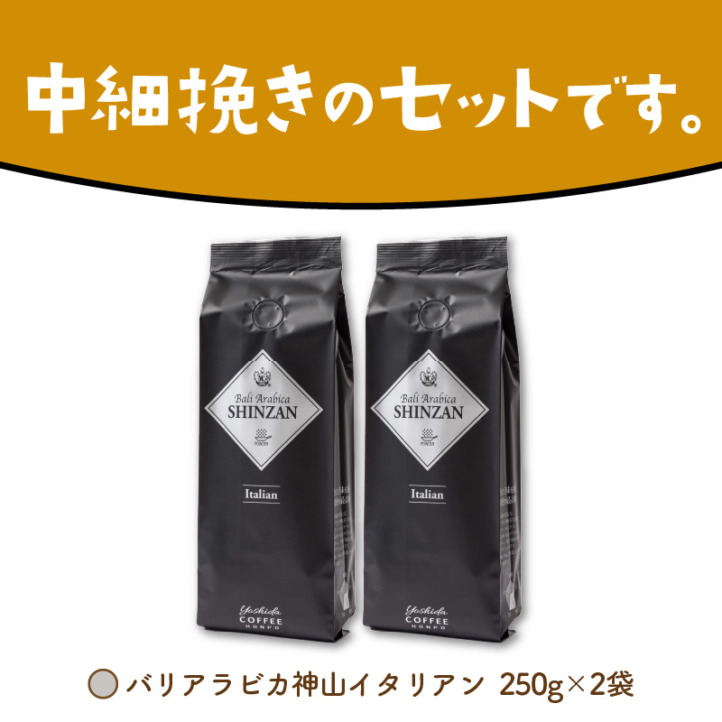 バリ・アラビカ神山イタリアン 250g×2袋／粉【配送不可地域：北海道・沖縄・離島】【010D-053】
