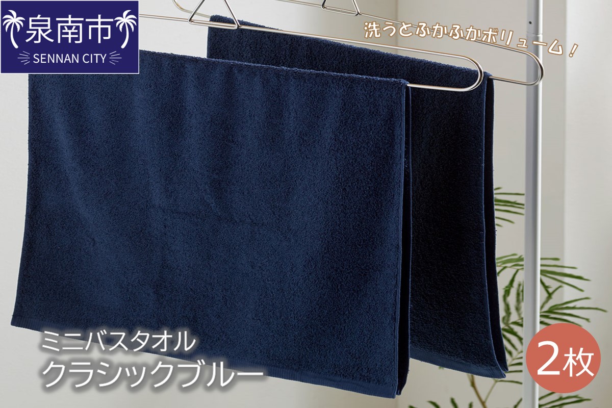 ハンガーで干せるミニバスタオル クラシックブルー2枚 【配送不可地域：北海道・沖縄・離島】【039E-049】
