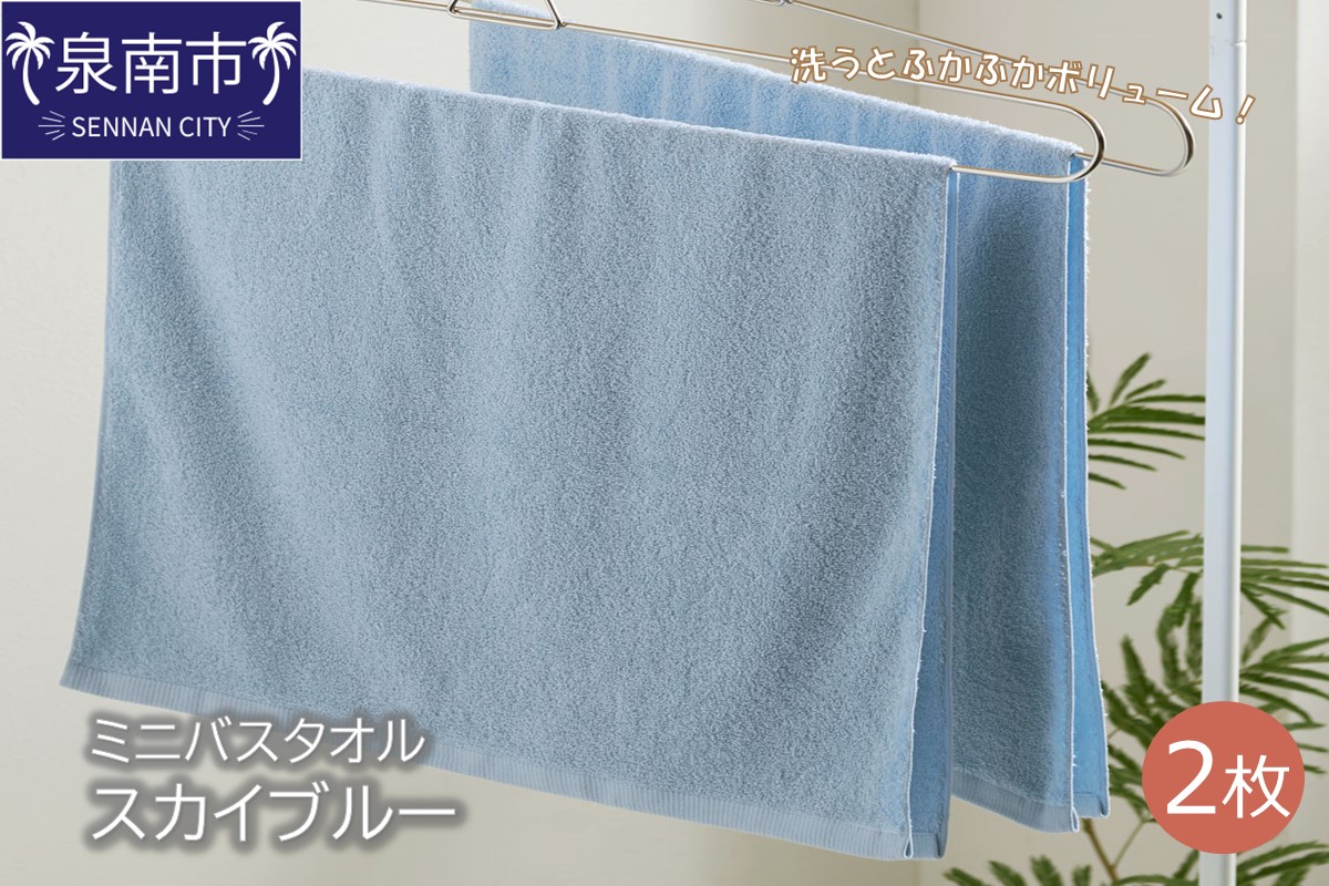 ハンガーで干せるミニバスタオル スカイブルー2枚 【配送不可地域：北海道・沖縄・離島】【039E-047】