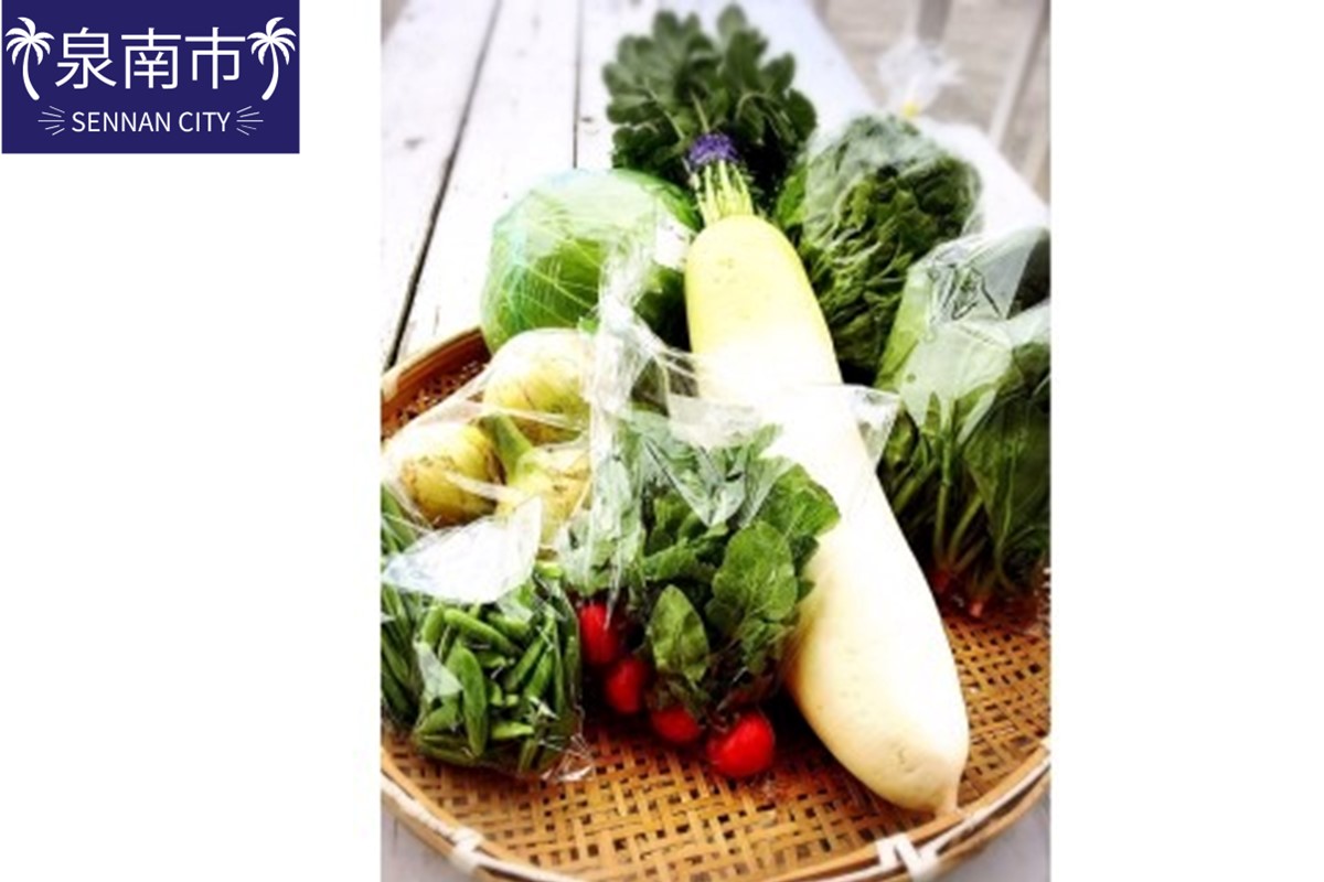 直売所の泉州産旬野菜セット 80サイズ箱【015E-007】