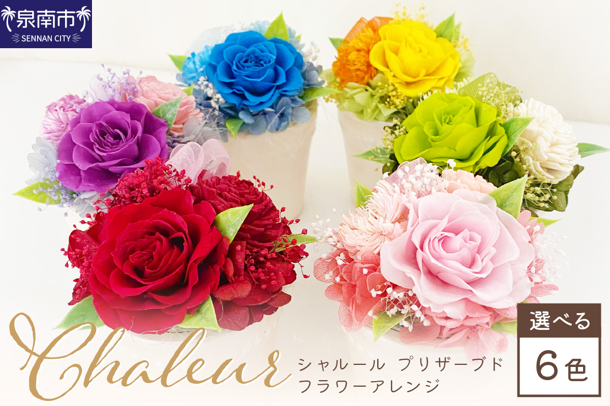シャルール プリザーブドフラワーアレンジ【023E-005】