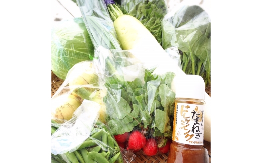 地元野菜の美味いろどり野菜セット 100サイズ箱 ドレッシング付【015D-012】