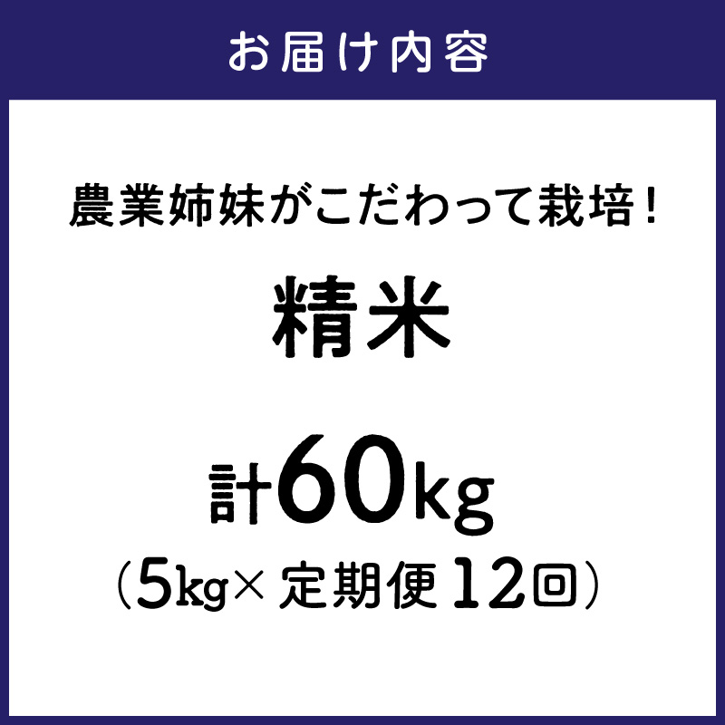 農業姉妹がこだわって栽培！ 大阪府産 泉南市のお米 白米5kg 1年定期便【024A-025】
