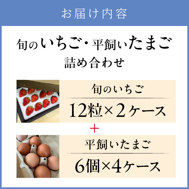 【2026年12月下旬～2027年5月発送予定】泉南市産 旬のいちごと平飼いたまごの詰め合わせ【配送不可地域：北海道・沖縄・離島】【015D-026-2027】