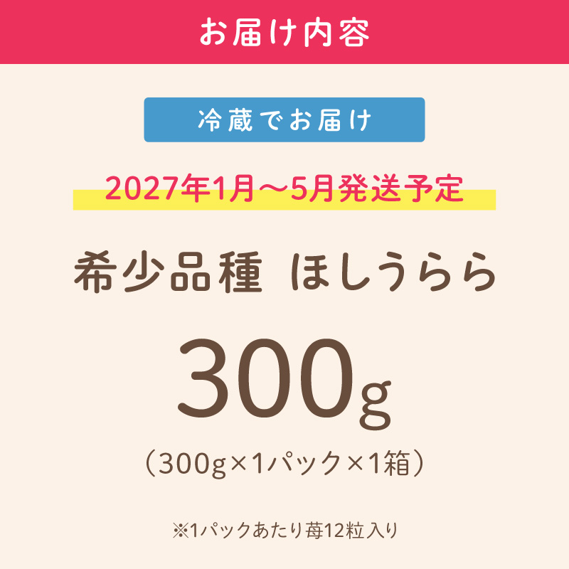 【2027年1月～5月発送予定】【糖度12〜15度の希少品種】いちご ほしうらら 約300g（約300g×1パック×1箱）【121E-002-2027】