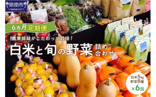 農業姉妹がこだわって栽培！白米5kgと旬の野菜詰め合わせ8種 半年定期便【024A-028】