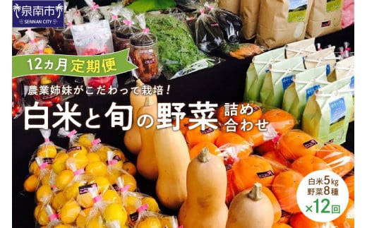 農業姉妹がこだわって栽培！ 白米5kgと旬の野菜詰め合わせ8種 1年定期便【024A-029】