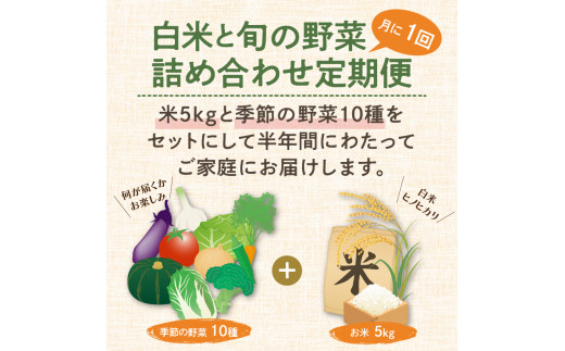 農業姉妹がこだわって栽培！白米5kgと旬の厳選野菜10種 半年定期便【024A-030】