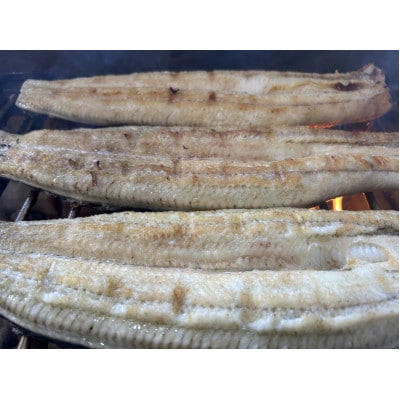 【国産うなぎ】通常サイズ120g-140g　三河一色産　5尾　炭火蒲焼き(タレ付き)【配送不可地域：離島】【1659361】
