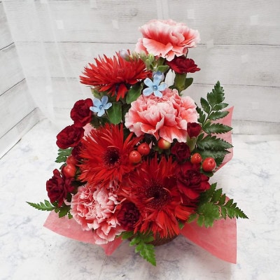 お任せ アレンジメント 生花 お祝い レッド系【配送不可地域：離島】【1343815】