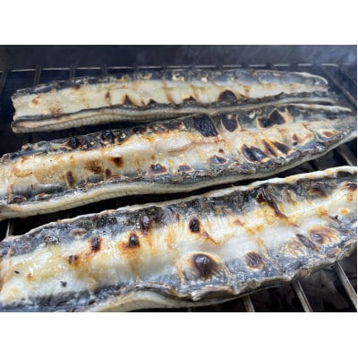 【国産うなぎ】特大サイズ180g-220g　三河一色産　6尾　炭火蒲焼き(タレ付き)【配送不可地域：離島】【1659385】