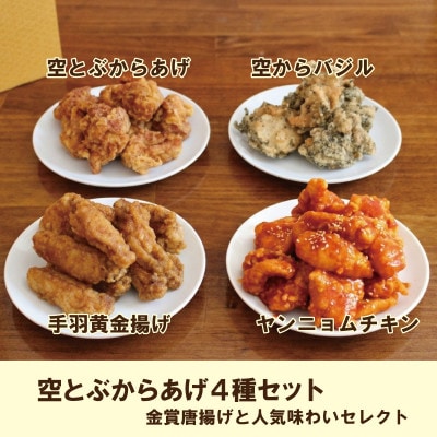 空とぶからあげ4種セット 金賞唐揚げと人気味わいセレクト【配送不可地域：離島】【1744168】