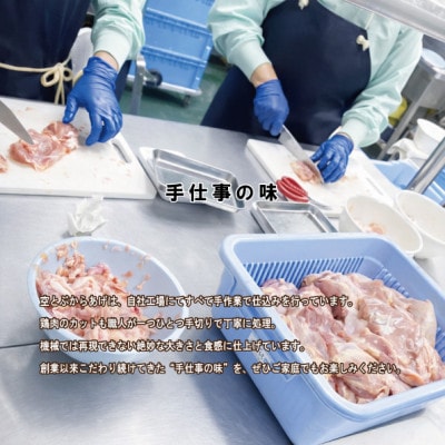 空とぶからあげ【ジンジャー味・生タイプ】 1.2kg【配送不可地域：離島】【1742555】