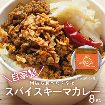 RUTA自家製スパイスキーマカレー計1.6kg【配送不可地域：離島】【1662623】