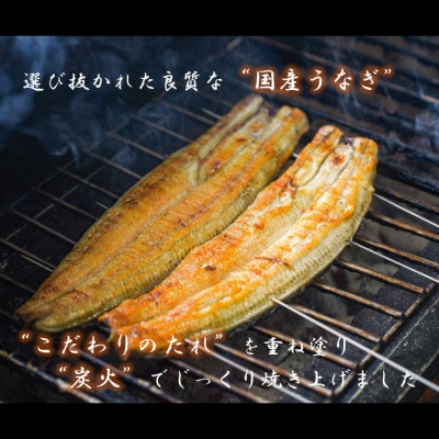【国産うなぎ】特大サイズ180g-220g　三河一色産　2尾　炭火蒲焼き(タレ付き)【配送不可地域：離島】【1659388】