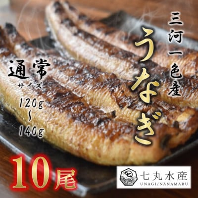 【国産うなぎ】通常サイズ120g-140g　三河一色産　10尾　炭火蒲焼き(タレ付き)【配送不可地域：離島】【1659375】