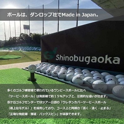 ゴルフ練習場 忍ケ丘ゴルフセンター ICカードチャージ利用券 50,000円分(約6,000球)【1552322】