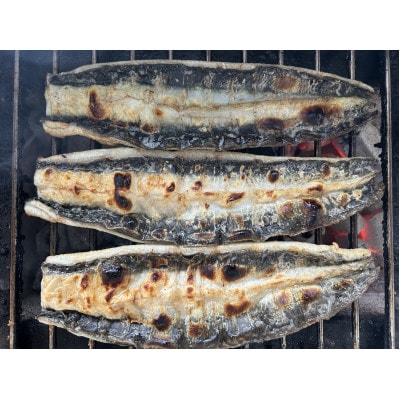 ãåœç£ããªãã倧ãµã€ãº140g -170gãäžæ²³äžè²ç£ã10å°Ÿãçç«è²çŒã(ã¿ã¬ä»ã)ãé
éäžå¯å°åïŒé¢å³¶ãã1659364ã