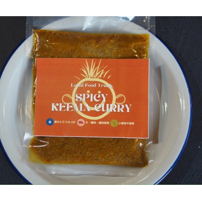 RUTA自家製スパイスキーマカレー計1kg【配送不可地域：離島】【1662585】