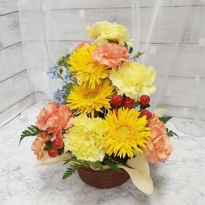 お任せ アレンジメント 生花 お祝い イエロー系【配送不可地域：離島】【1343813】