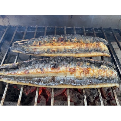 【国産うなぎ】通常サイズ120g-140g　三河一色産　10尾　炭火蒲焼き(タレ付き)【配送不可地域：離島】【1659375】