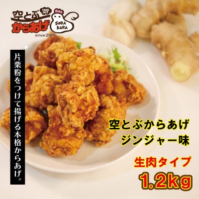 空とぶからあげ【ジンジャー味・生タイプ】 1.2kg【配送不可地域：離島】【1742555】