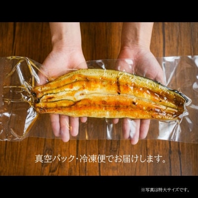 【国産うなぎ】特大サイズ180g-220g　三河一色産　2尾　炭火蒲焼き(タレ付き)【配送不可地域：離島】【1659388】