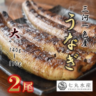 【国産うなぎ】大サイズ140g -170g　三河一色産　2尾セット　炭火蒲焼き(タレ付き)【配送不可地域：離島】【1659381】