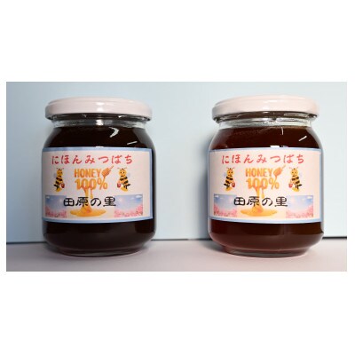 日本みつばちが集めた貴重なはちみつ(百花蜜)をお届けします。【1151556】