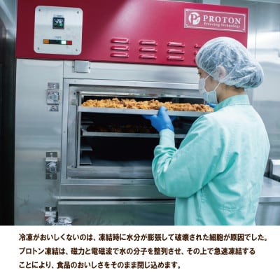 空とぶからあげ4種セット 金賞唐揚げと人気味わいセレクト【配送不可地域：離島】【1744168】