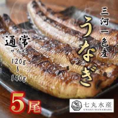 【国産うなぎ】通常サイズ120g-140g　三河一色産　5尾　炭火蒲焼き(タレ付き)【配送不可地域：離島】【1659361】