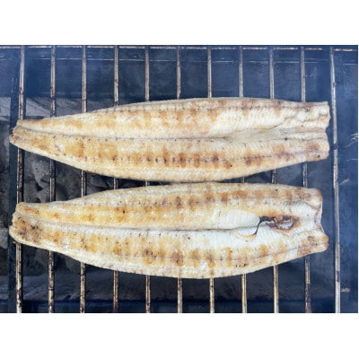 ãåœç£ããªããç¹å€§ãµã€ãº180g-220gãäžæ²³äžè²ç£ã2å°Ÿãçç«çœçŒããé
éäžå¯å°åïŒé¢å³¶ãã1659392ã